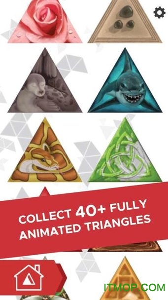 İ(Triangul8) v1.0.9 ׿° 1