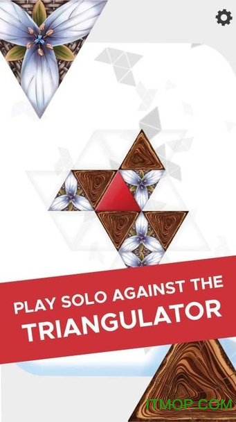 İ(Triangul8) v1.0.9 ׿° 2