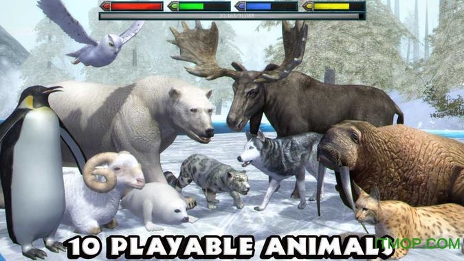 KOOģMƽ(Ultimate Arctic Simulator) v1.1 ׿o(w)޽żc(din) 1