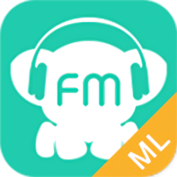 fm̨MirrorLink