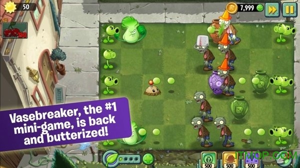 pvz2ʰȸ