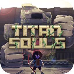 ̩̹֮꺺(Titan Souls)