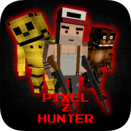 z(Pixel Z Hunter)