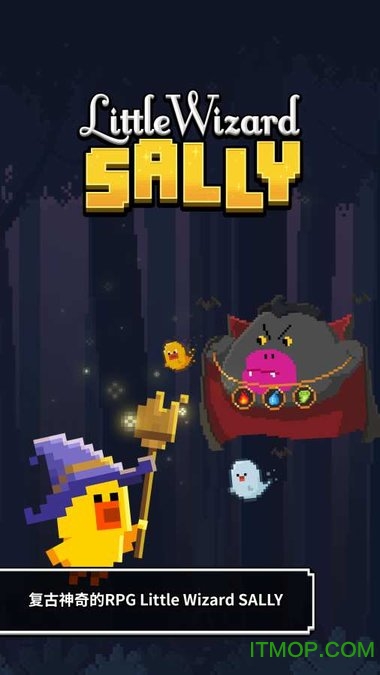 Сʦɯƽ(Little Wizard Sally) v1.1.0 ׿ڹ 1
