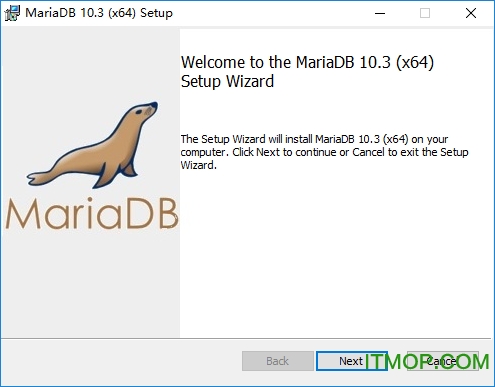 MariaDB for Windows v10.5.8 ٷװ 0