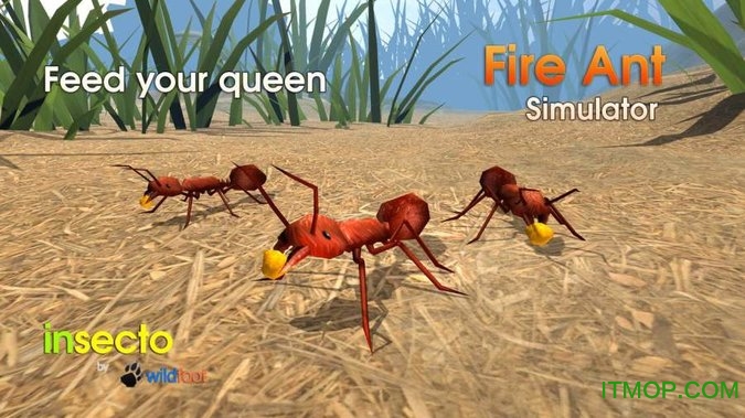 ģ(Fire Ant Simulator) v2.0 ׿1