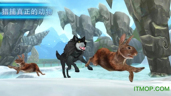 ǽʯ(Wolf Evolution) v1.7 ׿ڹ޸İ 1