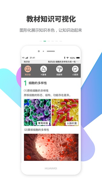 包学习app