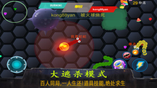 贪吃蛇吃鸡战