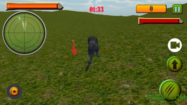 Ұڱģ(Wild Black Panther Simulator) v1.0 ׿2