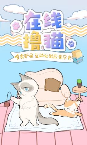 口袋猫咪
