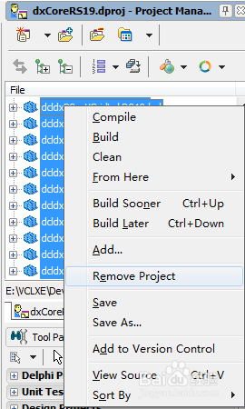 Delphi XE6°