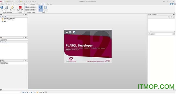 plsql developer12