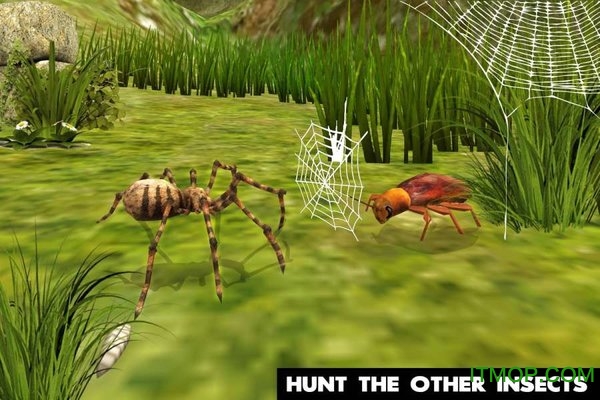 ռ֩ģ(Ultimate Spider Simulator) v1.2 ׿1