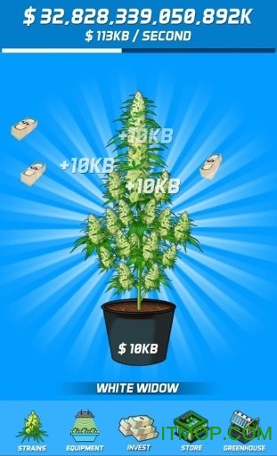 ̲Ǯ(Weed Money) v1.0.2 ׿ 1