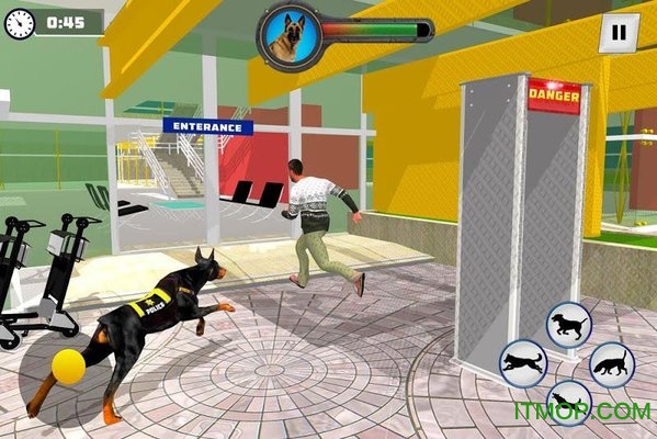 Ȯ׷2019(police dog chase) v1.0 ׿2