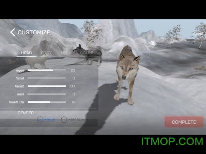 2ڹƽ(Wolf Online 2) v1.0.6 ׿1