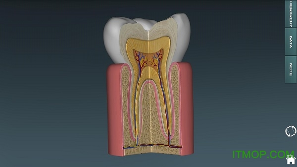 ѧͼ3dͼ(ѧͼ) v3.15.2 ׿ 1