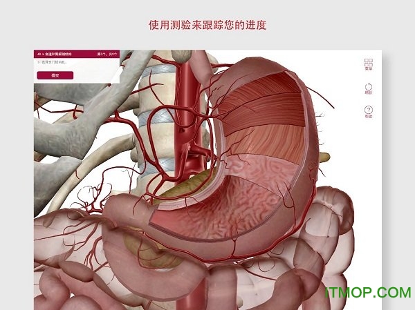 anatomy and physiologyİ v6.2.00 ׿ 0