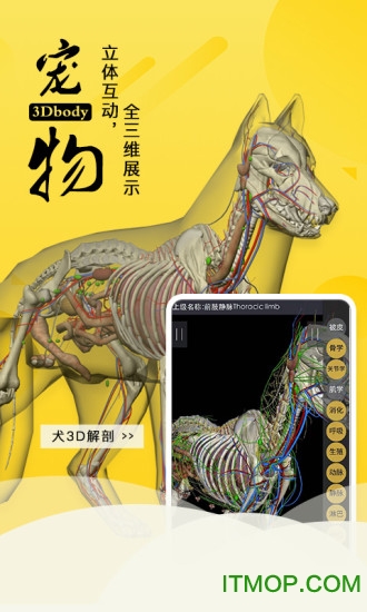 3Dbody v1.0.0 ׿3