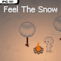 Feel The SnowܶϷ