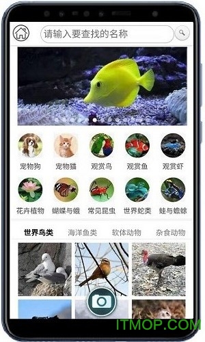 ʶapp v2.1.59.230411 ׿0