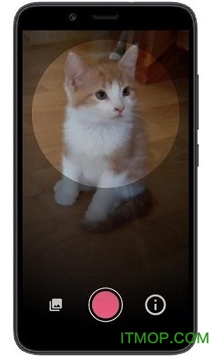 ʶapp v2.1.60.230419 ׿ 2