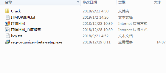 Reg Organizer破解版