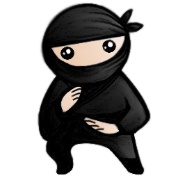 system ninja(ļ)