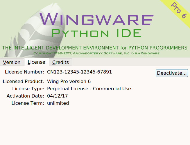 wing ide 6破解版