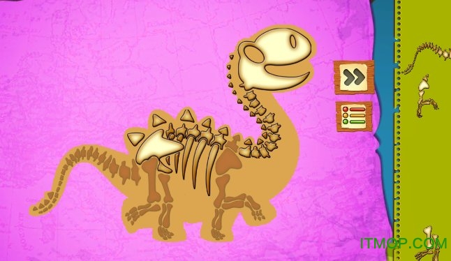 Dinosaur Fossil Discover