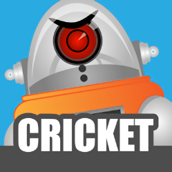 C(j)˰(Robot Cricket)