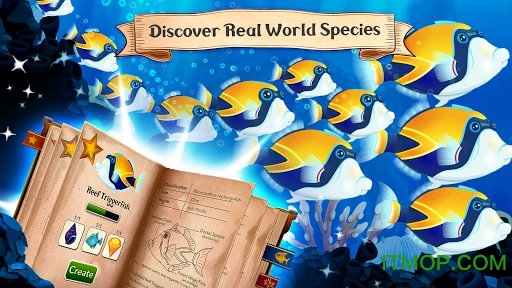 wRˮ±y(Splash Underwater Sanctuary) v1.510 ׿ 3