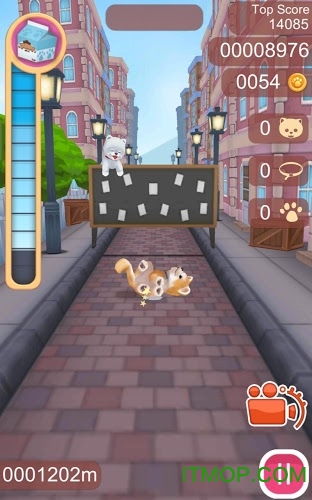 ɰﹷ(Cute Pet Puppies) v1.0.4 ׿ 1