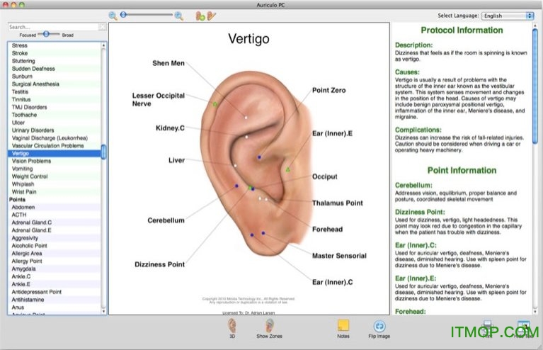 Auriculo 3D԰