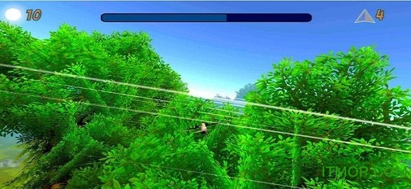 ɭַϷ(Forest Flyers) v1.0.2 ׿İ 2