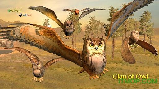 èͷӥ(Clan of Owls) v1.0 ׿0