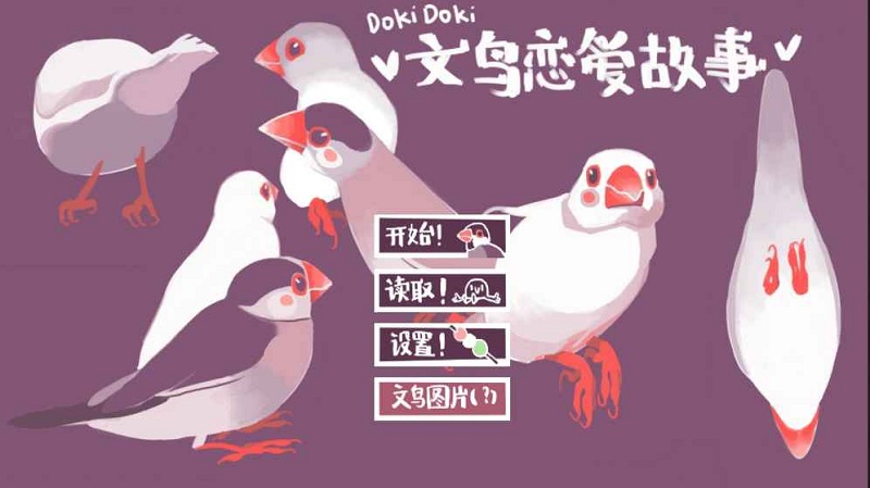 文鸟恋爱物语 文鸟恋爱物语