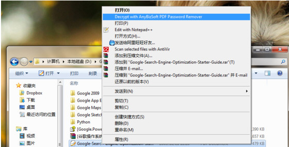 PDF Password Remover软件 PDF Password Remover软件