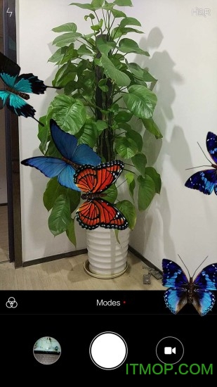 ֻϷ°(Butterfly in phone) v4.7.6 ׿ 0