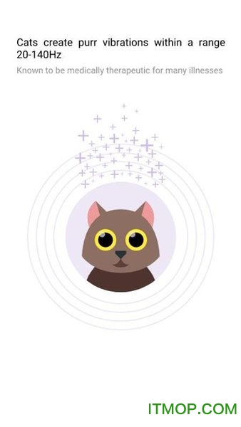 Purrify v1.1.0 ׿3