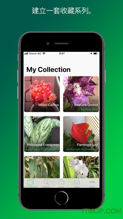 PlantSnapֲﻨľ v5.00.3 ׿ 0