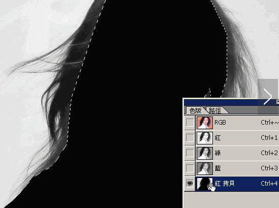 Photoshop CS3中文绿色版