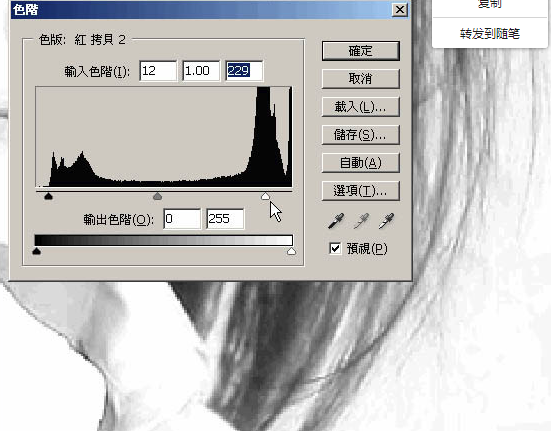 Photoshop CS3中文绿色版