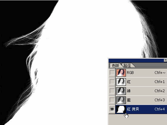 Photoshop CS3中文绿色版