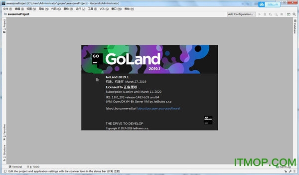 Jetbrains GoLand 2019 ƽⲹ/ 0