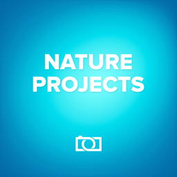 nature projects(Ч˾)