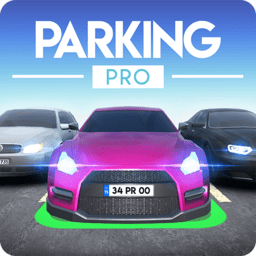רҵͣ(Parking Pro)ͣͼʻϷ
