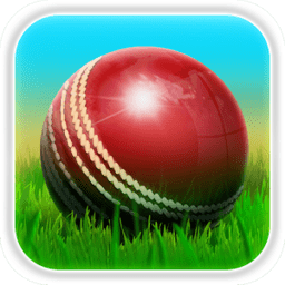 ս3D(Cricket 3D)