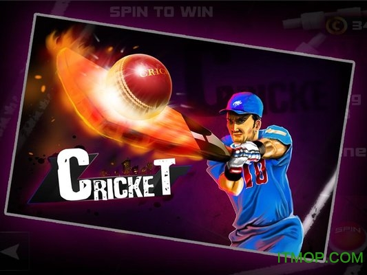 ս3D(Cricket 3D) v1.1 ׿ 3